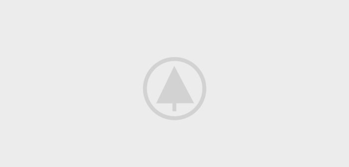 wood-gallery-placeholder-4 wood-gallery-placeholder-4