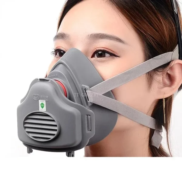 Dust Mask 3700