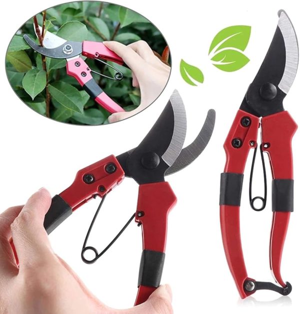 Pruning Shears (Red & Black)